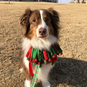 Meet your Posher, Katelyn